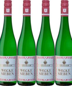 Stigler Wolke sieben VDP.GÜTSCHEIN 2024 Trocken für Erwachsene zur Grillparty (6 x 0.75 l) Stigler Wolke sieben VDP.GÜ