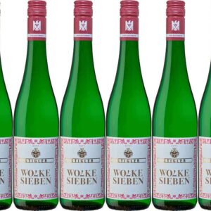 Stigler Wolke sieben VDP.GÜTSCHEIN 2024 Trocken für Erwachsene zur Grillparty (6 x 0.75 l) Stigler Wolke sieben VDP.GÜ