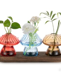 Hewory Pilz Deko Vase Glas 3er Set - Süßes Fliegenpilz Terrarium mit Holztablett für Tischdeko Frauen Geschenk