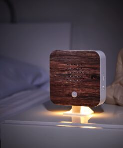 Northpoint Natur Sound Box Vogelgezwitscher - Autoabdauer Licht Mit Bewegungsmelder Walnuss Holz/Winkel