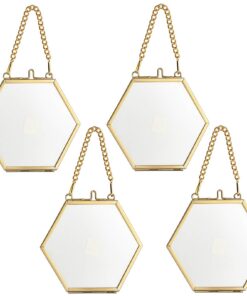 SUMTree 4 Pcs geometrische Ornament Pflanzenfotografen Rahmen,Gold,5cm,Haken Verzierung,Pflanzen Proben,Für gepresste Bl