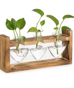 Glasseam Glas Propagation Station für Pflanzen - Vintage Holz Rahmen Deko Hydroponic Terrarium für Home Büro Fensterbank