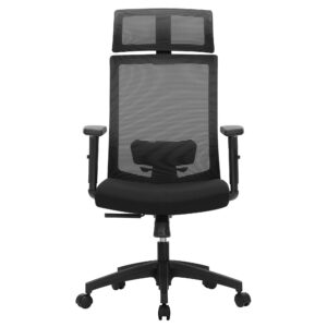 SONGMICS Bürostuhl, verstellbare Lendenstütze und Kopfstütze, ideal für Büroarbeiten, moderne Design, schwarz OBN55BK