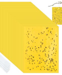 Gelbsticker für Trauermückenbekämpfung im Haus und Garten | 20 x 15cm Geruchlose Fliegenfallen für Trauermücken, 50 Stü