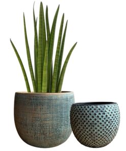Olly & Rose Blumentopf-Set, Keramik, Blaugrün/Gold für Outdoor-Verwendung, 2-17 und 14 cm