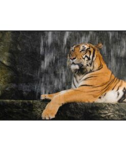 7-Tier Tiger Steinbereich Teppich für Wohnzimmer und Schlafzimmer - 50 x 80 cm