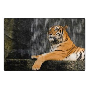 7-Tier Tiger Steinbereich Teppich für Wohnzimmer und Schlafzimmer - 50 x 80 cm