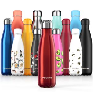 Proworks Edelstahl Trinkflasche | 24 Std. Kalt und 12 Std. Heiß - Premium Vakuum Flasche - Perfekte Isolierflasche für S