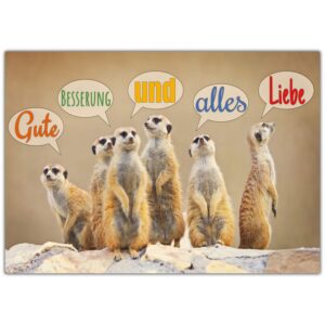 ERDMÄNNCHEN A4 XXL Besserungskarte - edle Klappkarte für Genesung - Kollegen, Freunde & Verwandte