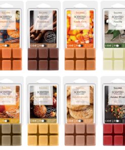 SALKING Herbst Duftwachs Wax Melts für Kerzen Wärmer - Kürbisgewürz und Zimt Düfte, Geschenk Set für Halloween und Weihn