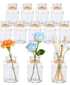 Der Rose 12er Set Kleine Transparente Glasvasen 125ml für Hochzeitsdeko & Tischdeko