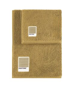 Sweet Home Pantone™ Handtücher-Set - Beige für Gäste und Badesauberkeit, Oeko-Tex-Zertifiziert, 1+1 Set 40x50 cm + 50x10