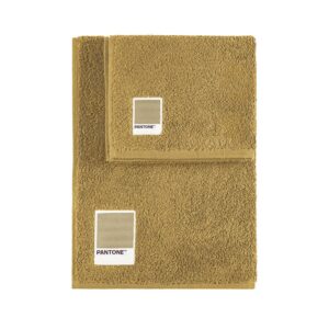 Sweet Home Pantone™ Handtücher-Set - Beige für Gäste und Badesauberkeit, Oeko-Tex-Zertifiziert, 1+1 Set 40x50 cm + 50x10