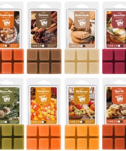 Salubrito Herbst Duftwachs | Naturales Gewächsdufte für Duftlampe | Kürbisgewürz, Zimt und Gewürzter Apfel | Perfekt für
