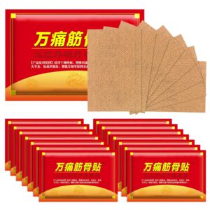 Schmerzlinderungspflaster 120 Stück, Chinesische Ferninfrarot Pflaste für Nacken, Knie, Rücken und Schulterschmerzen
