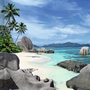 Buchkalender Style Beach 2024 - Büro-Kalender A5 - Cheftimer - Geschäftsmann - Büro - Planungsjahr - 352 Seiten - Blume