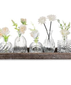 Glasseam Glasvase Set Klein: 5 Klare Glasvasen mit Holztablett - Elegante Tischdeko für Wohnzimmer Büro Hochzeit
