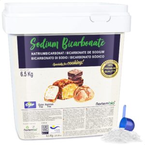 Nortembio Ökologischer Natron Pulver Backsoda Aluminiumfrei 6,5 Kg Für Bäckerinnen Und Bäcker. Kochen Und Backen Mit Nat