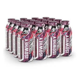 All Stars Isowhey Waldfrucht Protein Shake 16 x 500ml fürFitnessfan I 30g Whey mit 7,5g BCAAs I laktosefrei wenig Zucker