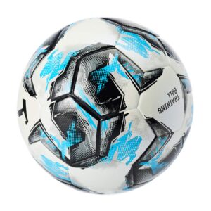 T1TAN Fußball Gr. 5 für Vereine - Thermobonded Spielball, nahtlos verklebt, Matchball + Trainingsball Herren & Frauen, G