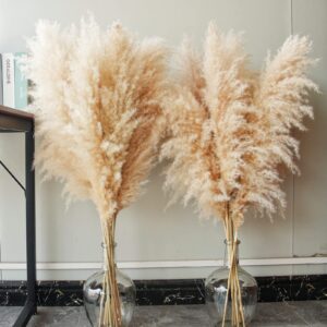Pampas Grass Deko XXL für Boho Zimmer Deko Schlafzimmer Hochzeiten (100cm)