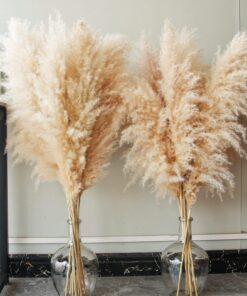 Pampas Grass Deko XXL für Boho Zimmer Deko Schlafzimmer Hochzeiten (100cm)