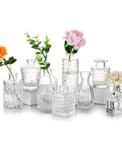 Glasseam Kleine Glasvase 8er Set Vintage Tischdeko Aesthetic Mini Blumenvasen