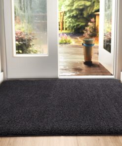 DEXI Fußmatte Innen 60 x 90 cm, rutschfeste Schmutzfangmatte, Maschinenwaschbare Fußmatte