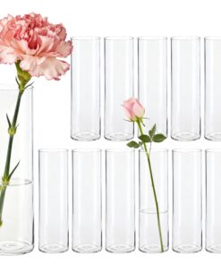 Der Rose Moderne Kleine Zylinder Vasen Set 15cm 12 Stück für Tischdeko Hochzeit Party