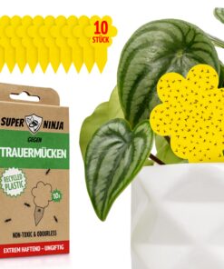 Super Ninja Trauermücken Bekämpfen - hochwirksame Gelbtafeln 10er Pack, ungiftig und umweltfreundlich, ideal für Innenbe