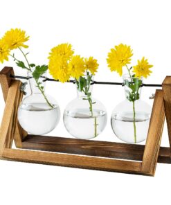 Glasseam Vermehrungsstation Upgrade Zwiebel Vase mit Holzständer Glas Blumentopf für 3 Zwiebeln Vintage Tischdekoration