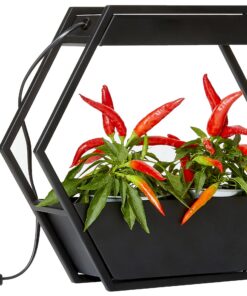 Northpoint Design LED Pflanzenlampe für KräutergartenIndustrial-Look Timer Funktion MetALLgestell 12W 750 Lumen