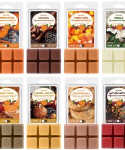 SALKING Herbst Duftwachs Wax Melts für Raumduft und Kerzen Wärmer, Kürbisgewürz und Zimt Düfte, Geschenk Set für Hallowe