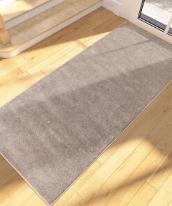 FCSDETAIL Schmutzfangmatte Innen Lang 60 x 150 cm, rutschfeste waschbare Fußmatte für Hund, Eingang, Flur, Küchen, Korri