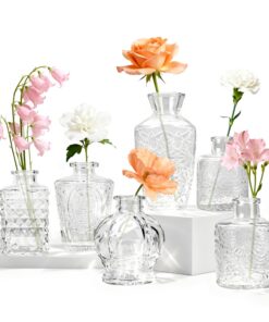 Der Rose 6 Stück Vintage Blumenvase Set – Kleine Vasen für Hochzeitsdeko & Tischdeko
