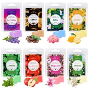 **Sojawachs Scentsy Duftwachs für Duftlampe - Hochzeiten, Geburtstage & Weihnachten** | **Scentsy Duftwachs Wax Melts f