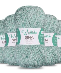 Wollidu Premium Strickwolle 500g Minz Grün OEKO-TEX zertifiziert Wollidu Strickwolle 5 x 100g/170m 80% Polyacryl 20% Sch