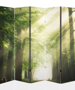Framed Concept Paravent Raumteiler Holz 225x172 cm - 5-teilig einseitig, ideales Sichtschutzwand für Wohnzimmerszenen -