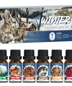 Winter Duft Öl Set, ätherische Öle Set 6x10ml gepaart mit Aromatherapie Maschine - Wald Kiefer, Minze heiße Schokolade,