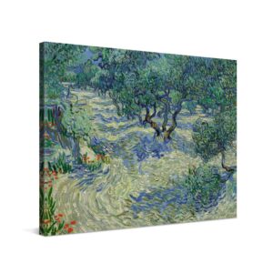PICANOVA Vincent Van Gogh Olive Orchard – Kunst auf Leinwand – Premium Leinwanddruck – für Schlaf- und Wohnzimmer
