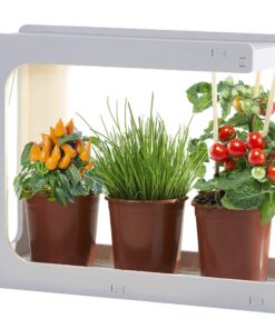 Northpoint LED Pflanzenlampe für Kräutergarten und Innengarten - Grow Timer - 14W 850 Lumen (C-Form)