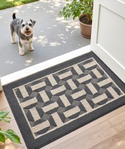 DEXI Fußmatte Eingangsbereich Waschbar Rutschfest Dunkelgrau 61x91 cm | DEXI Waschbar Fußmatte Eingangsbereich Rutschfe