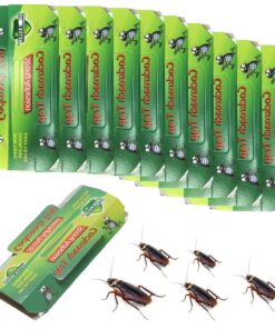 Kakerlakenfallen Set, 10 Stück, Ungiftige Insektenfalle für Küchenschaben, Grüne Schaben-Monitoring-Fallen - Naturfreund
