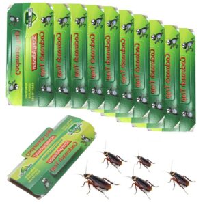 Kakerlakenfallen Set, 10 Stück, Ungiftige Insektenfalle für Küchenschaben, Grüne Schaben-Monitoring-Fallen - Naturfreund