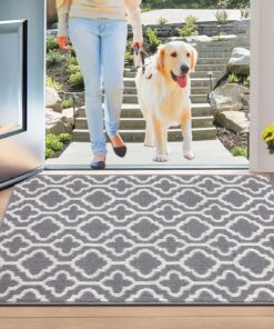 Schacos Schmutzfangmatte Grau 80x120cm rutschfest Sauberlaufmatte Waschbar für Haustür Innen Groß OEKO-TEX