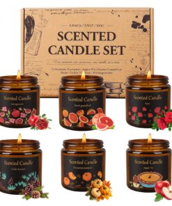 6er Glasduftkerze Geschenk für Frauen und Männer, 6 x 100g natuurliches Sojawachs, amort Kerzen für Zuhause, duftend bei