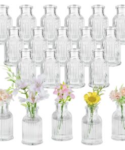 Glasseam 20 Stück Mini Glasvasen für Hochzeit Party - Kleine Blumenvasen Set Trockenblumen Deko