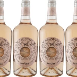 Pasqua Vigneti e Cantine 11 Minutes Trevenezie IGP 2024 Trocken - Premium Trockenwein für Alle Gelegenheiten (6 x 0.75 l