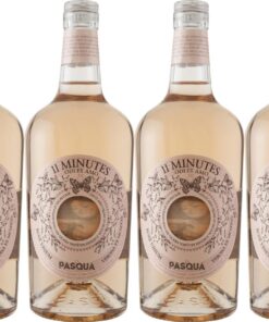 Pasqua Vigneti e Cantine 11 Minutes Trevenezie IGP 2024 Trocken - Premium Trockenwein für Alle Gelegenheiten (6 x 0.75 l