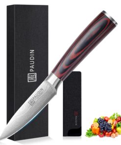 PAUDIN Scharfes Gemüsemesser für professionelle Küchen mit Deutschem Edelstahl und großem, sicheren Griff | PAUDIN 9 cm